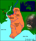 Tanjung Puting National Park