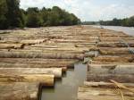 Logs being floated down the river